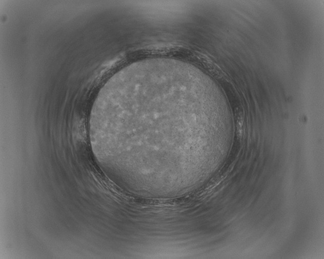 X0000070361204200606231614