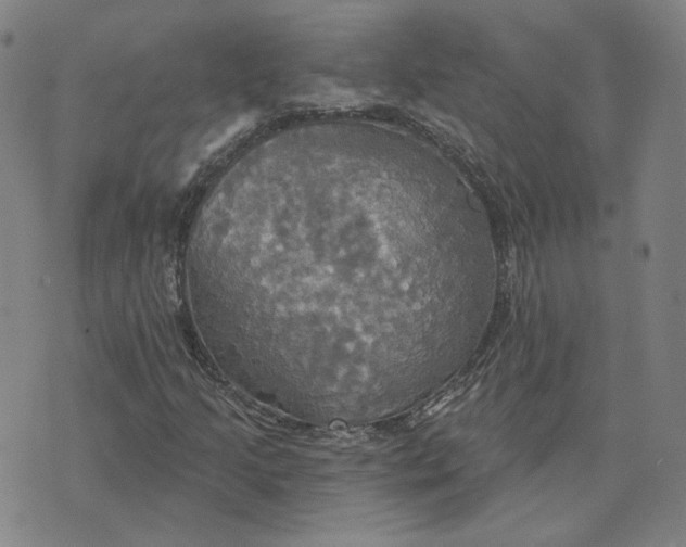 X0000070361205200606231614