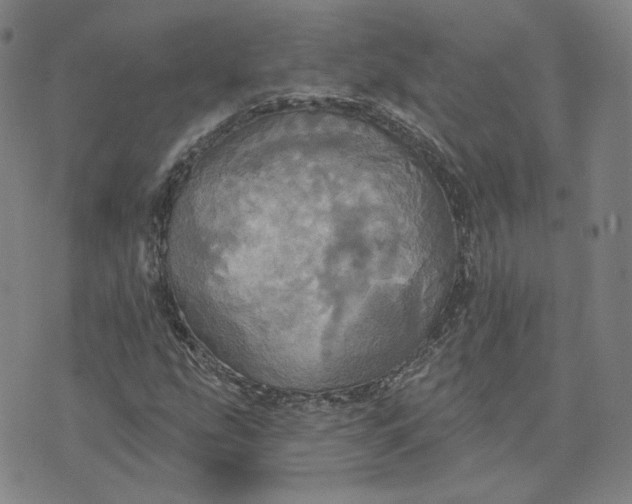 X0000070361207200606231614