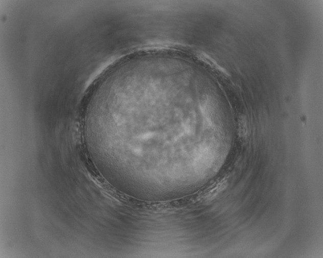 X0000070361208200606231614