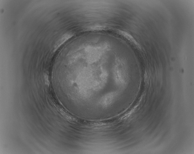 X0000070361209200606231614