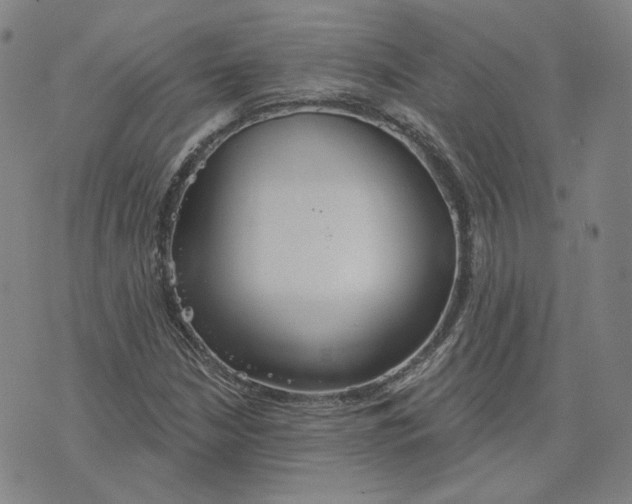 X0000070361210200606231614