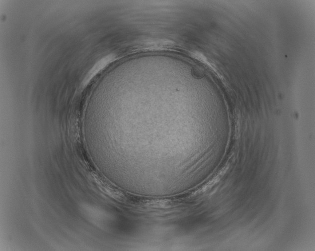 X0000070361211200606231614