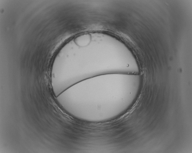 X0000070361212200606231614