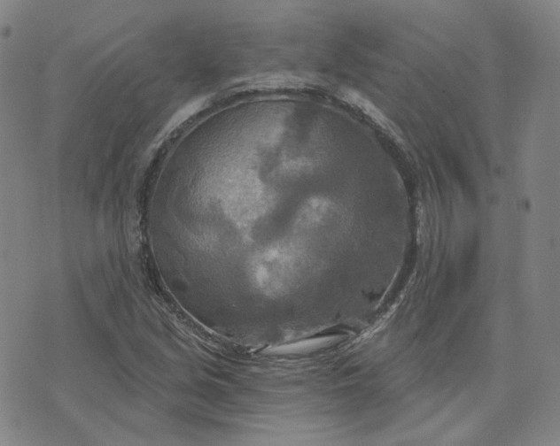 X0000070361213200606231614