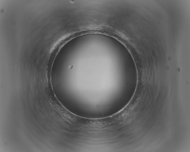 X0000070361214200606231614