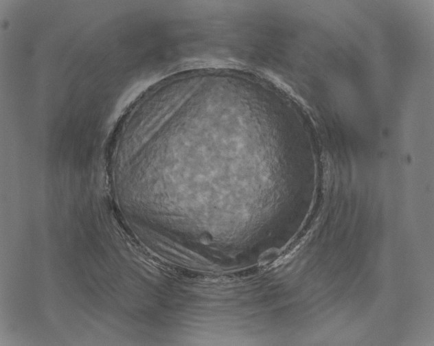 X0000070361215200606231614