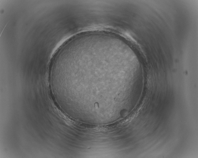 X0000070361216200606231614