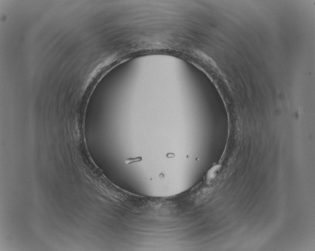 X0000070361218200606231614