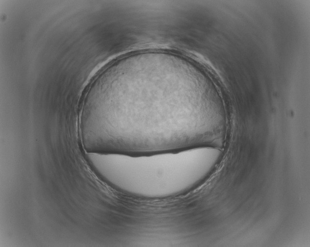 X0000070361220200606231614