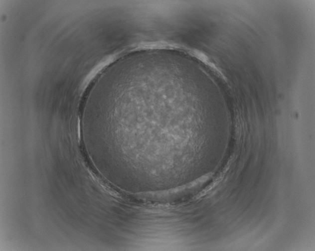 X0000070361221200606231614