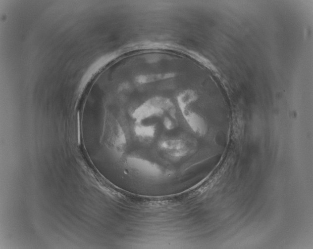 X0000070361223200606231614