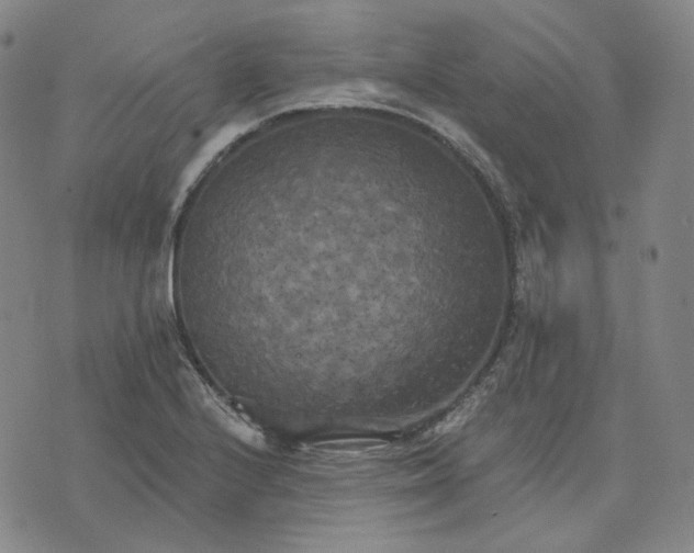 X0000070361224200606231614