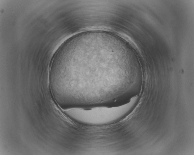 X0000070361228200606231614