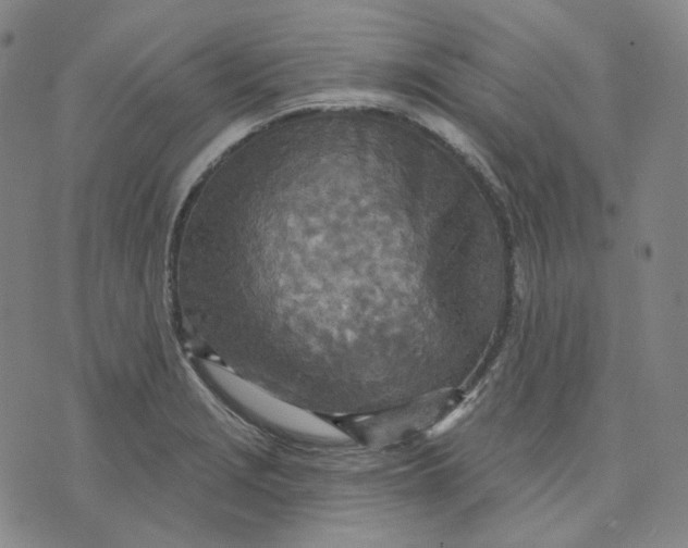 X0000070361229200606231614