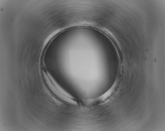 X0000070361230200606231614