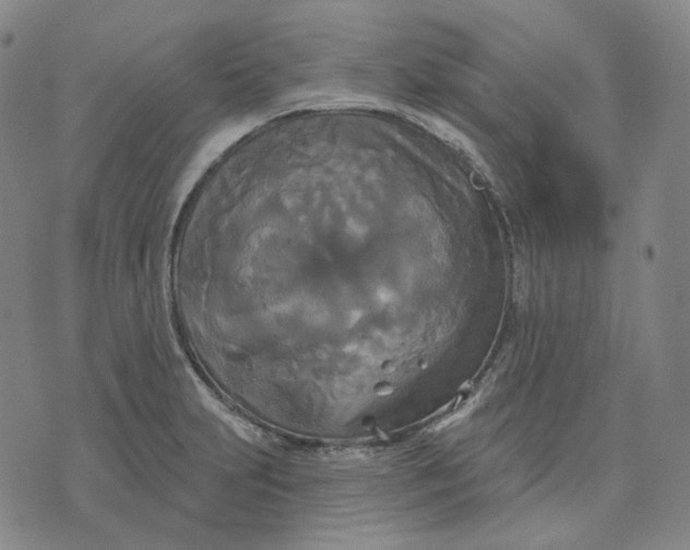 X0000070361231200606231614