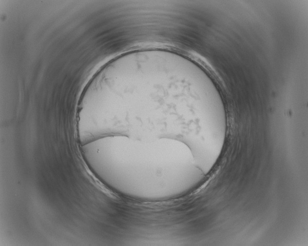 X0000070361236200606231614