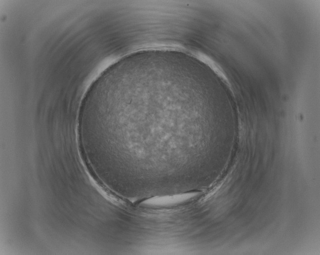 X0000070361237200606231614