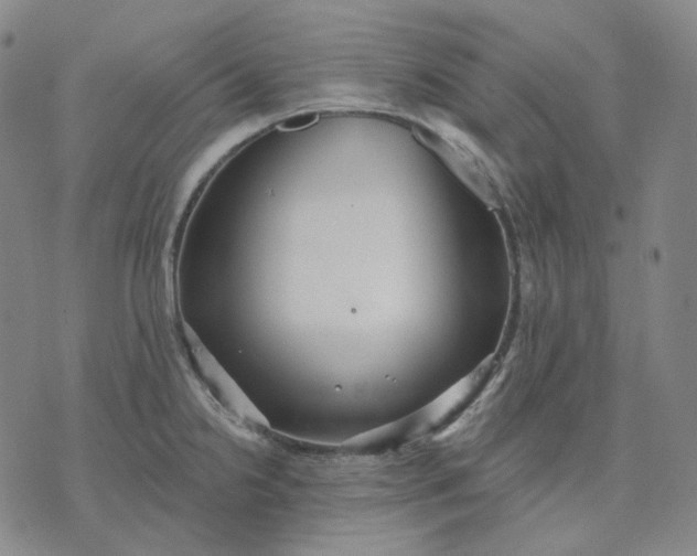 X0000070361238200606231614