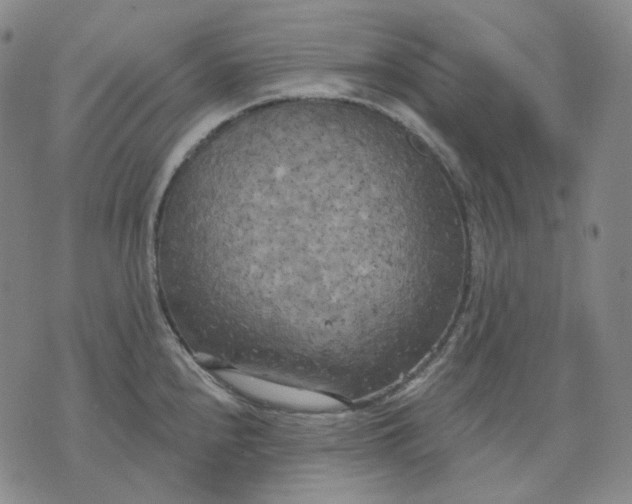 X0000070361240200606231614