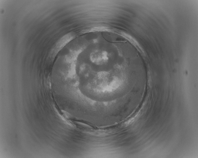 X0000070361241200606231614