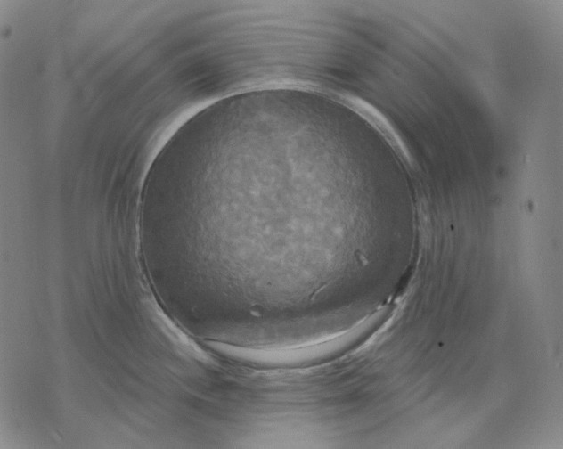 X0000070361244200606231614