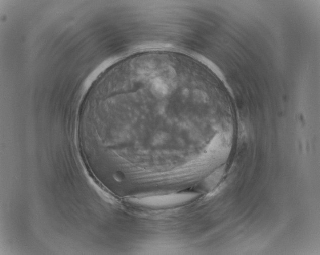 X0000070361245200606231614