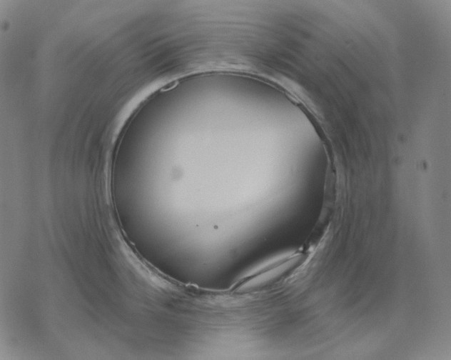 X0000070361246200606231614