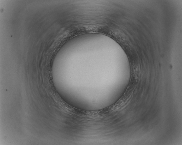 X0000070361249200606231613