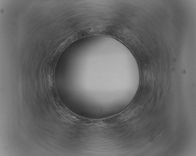 X0000070361250200606231613