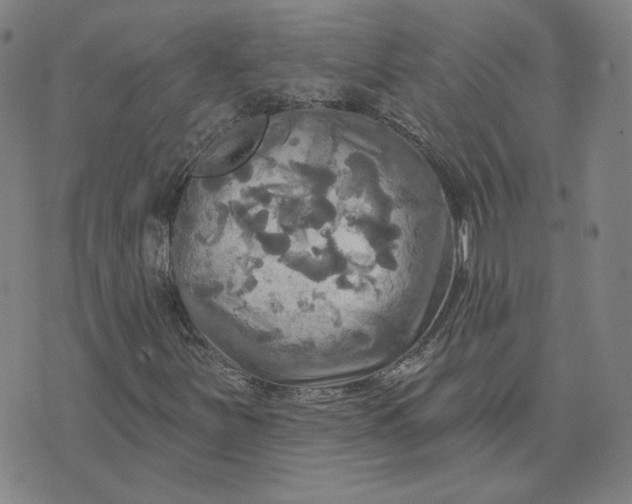 X0000070361251200606231613