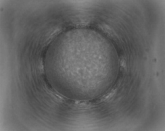 X0000070361252200606231613