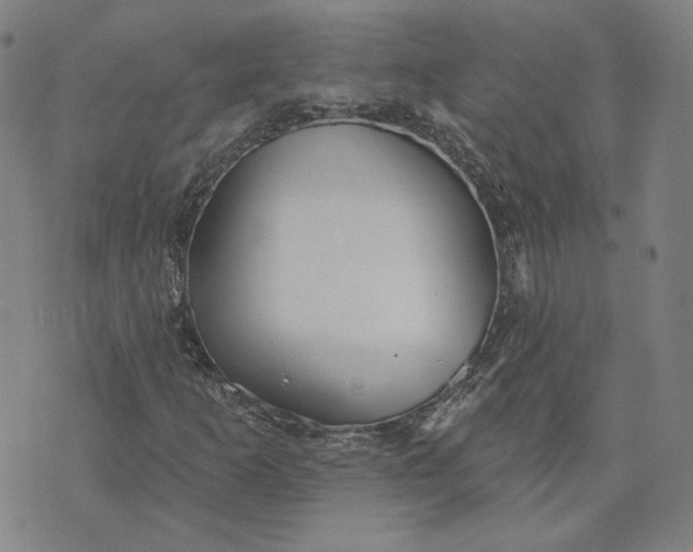 X0000070361253200606231613