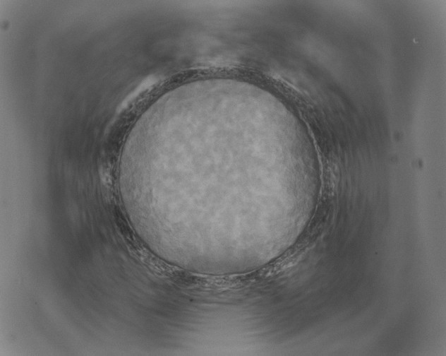 X0000070361254200606231613