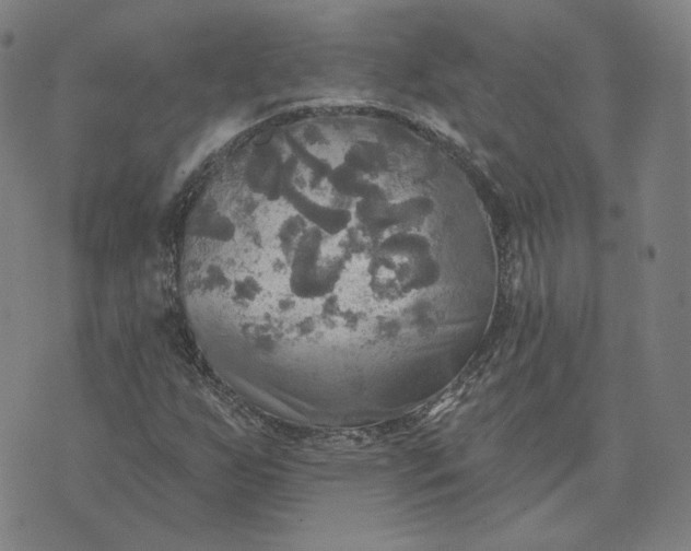 X0000070361255200606231613