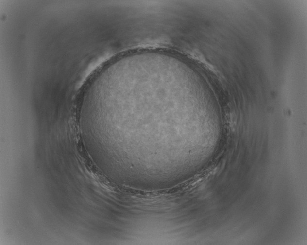 X0000070361256200606231613