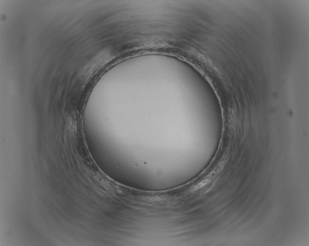 X0000070361257200606231613