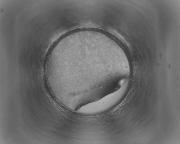 X0000070361264200606231613