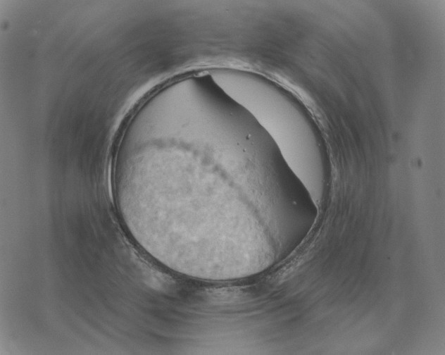 X0000070361272200606231613