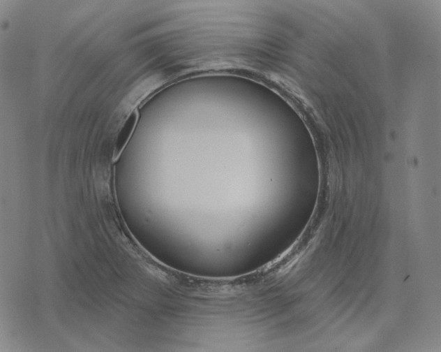 X0000070361273200606231613