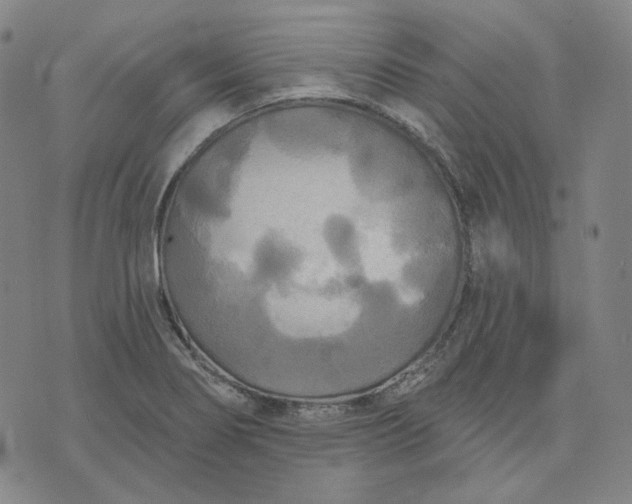 X0000070361274200606231613