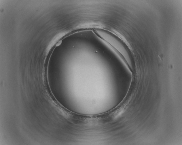 X0000070361277200606231613