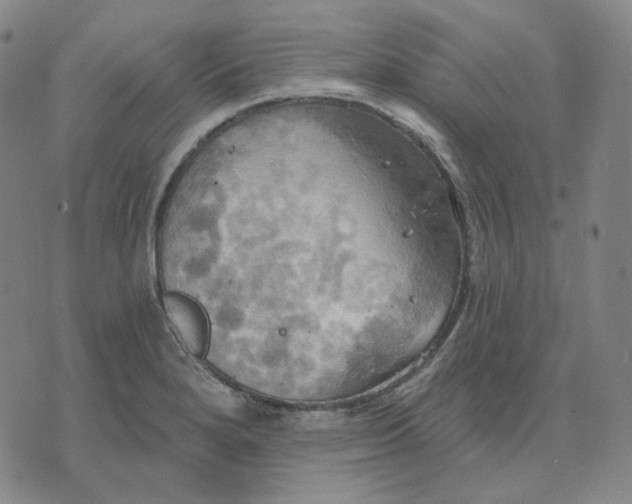 X0000070361280200606231613