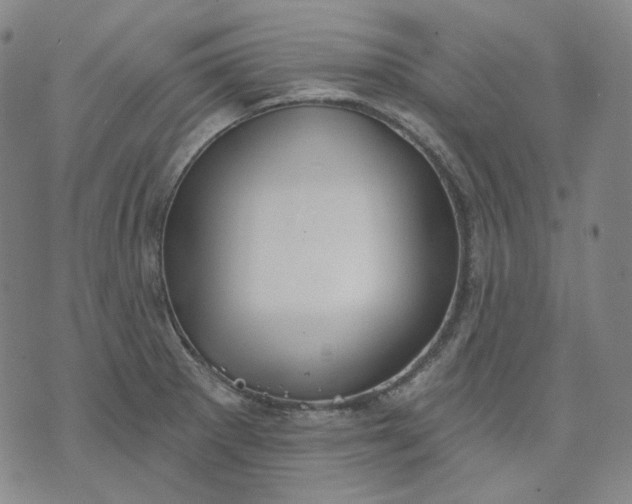 X0000070361281200606231613