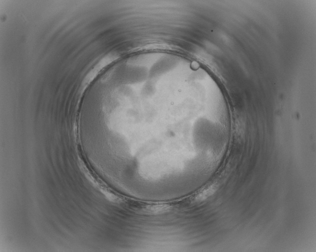 X0000070361282200606231613