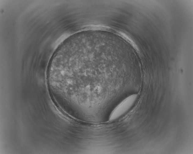 X0000070361283200606231613