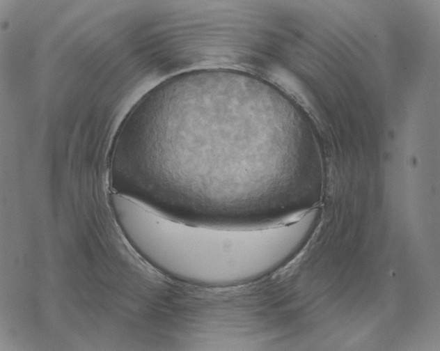 X0000070361284200606231613