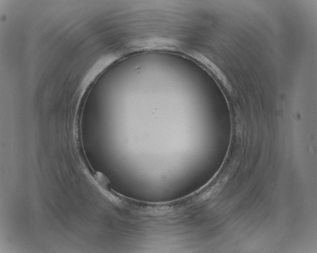 X0000070361285200606231613