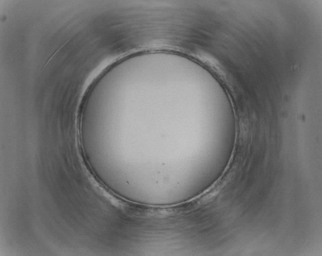 X0000070361286200606231613